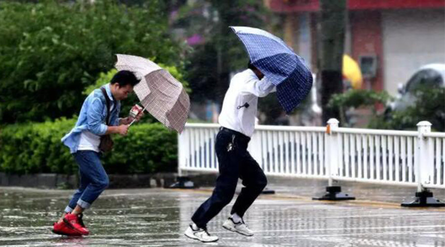 9號臺風(fēng)“馬鞍”生成！金環(huán)電器提醒大家要注意的事項