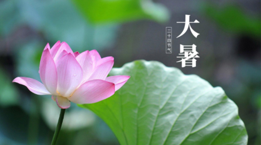 大暑時(shí)節(jié)！金環(huán)電器提醒大家注意這些干衣細(xì)節(jié)