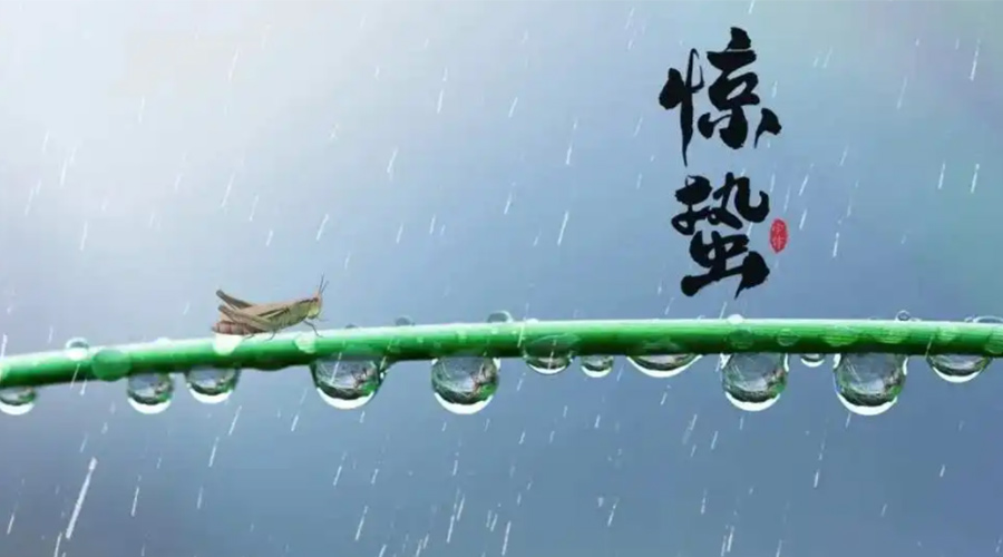 驚蟄時(shí)節(jié)！金環(huán)電器提醒大家干衣要注意這些
