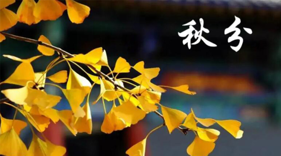 秋分時(shí)節(jié)！金環(huán)電器提醒大家要注意的事項(xiàng)